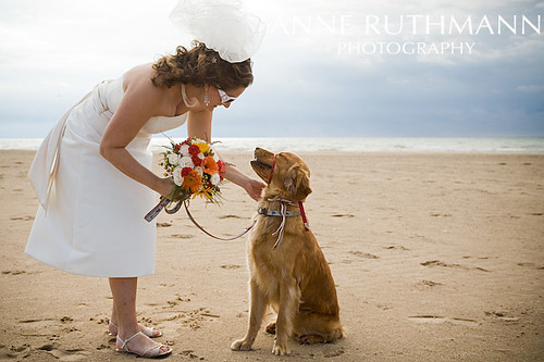 Are any of you paying homage to a pet on your wedding day
