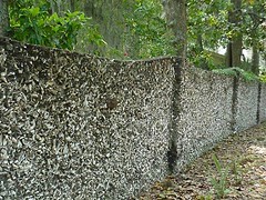 Tabby Wall, St. Augustine