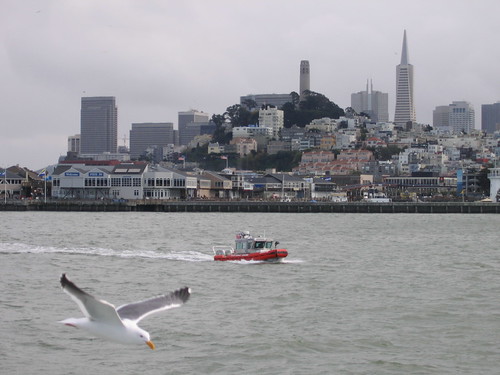 SF, a bird, and a boat