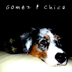 Gomez & Chica