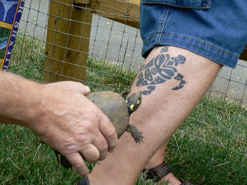 Chuck Vandervort's turtle tattoo and an actual turtle