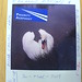 Polaroid Postcard: TRACI BUNKERS