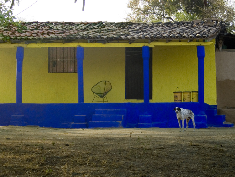 yellow & blue house