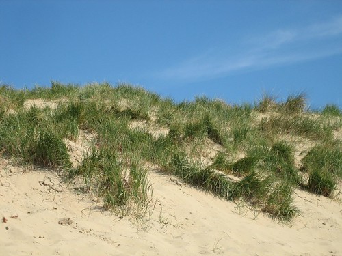 Sand Dune at Camber Sands