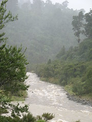 Totara Creek meets the Waiohine River
