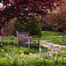 Olbrich Gardens Spring Afternoon