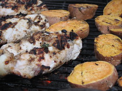 Close up of chicken and sweet potatoes