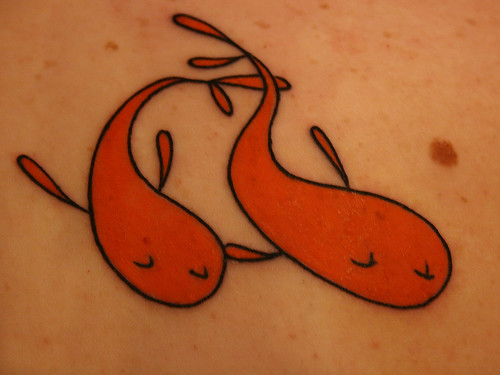 It's goldfish drawn by Kurt Halsey but tattooed by Bud at Absolute Tattoo in 