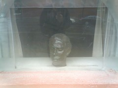 head in window