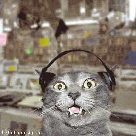 cat - listening to u