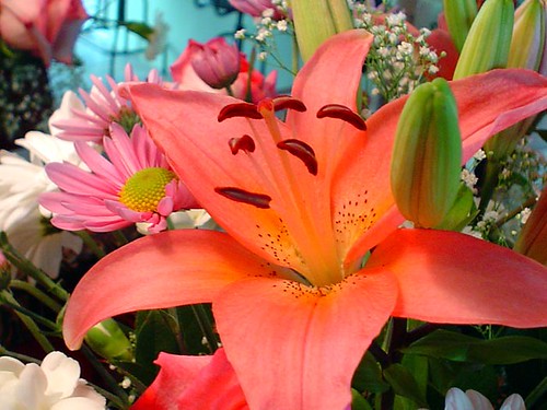 Flower Bouquet - Lily