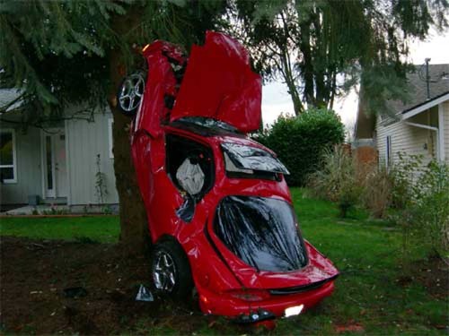 Mazda Rx7. Mazda RX-7 Chases Cat Up Tree