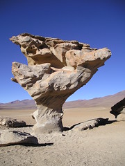 Bolivian Altiplano - Arbol de Piedra
