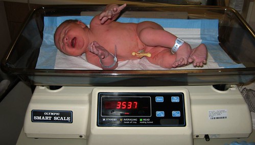 7.12 lbs  18 1/4 in