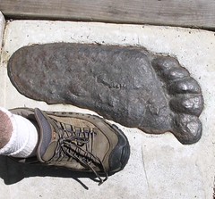 Bigfoot shoe