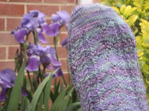 Bloomin Feet and Bloomin Iris'