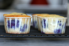 blueberry ricotta almond cupcakes cooling