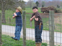 Boys on Fence