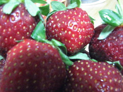 freshberries