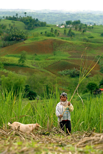 boy, farm, Philippines, rural goat kambing Negros Oriental Pinoy Filipino Pilipino Buhay  people pictures photos life Philippinen  菲律宾  菲律賓  필리핀(공화국) Philippines 