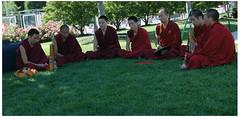 Monks in the Grass
