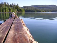 Timothy Lake log bridge