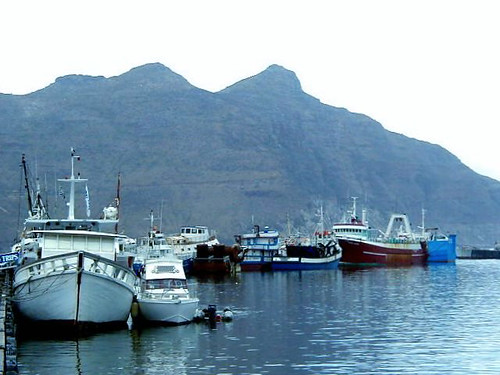 the Fisherman's wharf