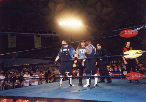 Look at all the people in this picture. The only ones who appear to care that the Dudleys are in the ring are no one.