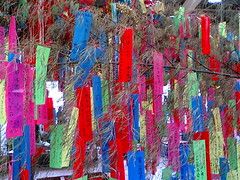 Eki Tanabata