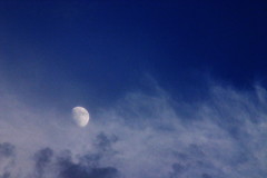 真昼の月　sign of the moon