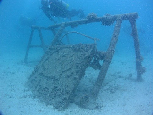 shell artificial reef