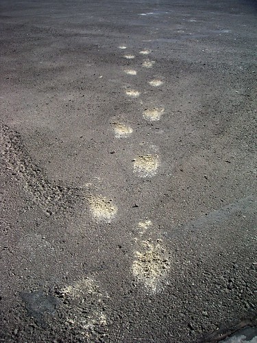 Raquel's footprints