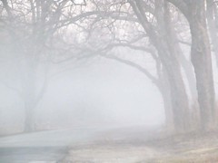 One foggy morning