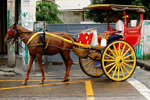 Manila horse calesa kalesa driver street cart city Pinoy Filipino Pilipino Buhay  people pictures photos life Philippinen  菲律宾  菲律賓  필리핀(공화국) Philippines    