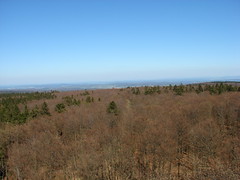 View from Bismarckturm