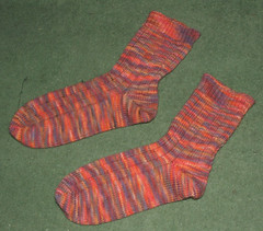 Posh Yarn Socks - L&V Sock Marathon FO #6