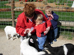 Feeding the Goats - Our first trip to Deanna Rose (5)