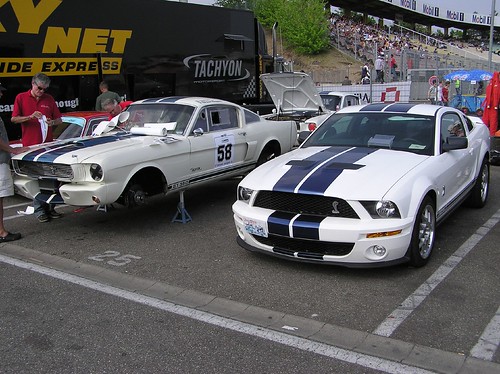 ford mustang shelby. Ford Mustang Shelby GT 350