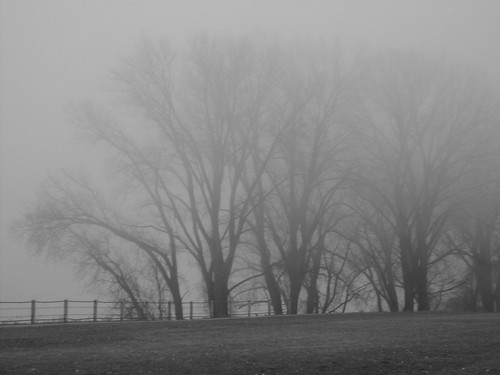 Evening Fog, Black & White Version by dreamcicle19772006.
