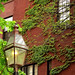 Boston - Beacon Hill Ivy, Brick & Gaslamp