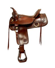 Saddles Sell Online?