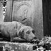Highgate Cemetery. The tomb of Thomas Sayers, the boxer. The dog represents his pet, Lion.