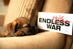 war is not healthy for puppies and other living things