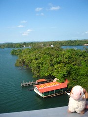 View from the bridge at Backpackers Hotel - Youssouf visits Rio Dulce - Guatemala - 9 April 2007