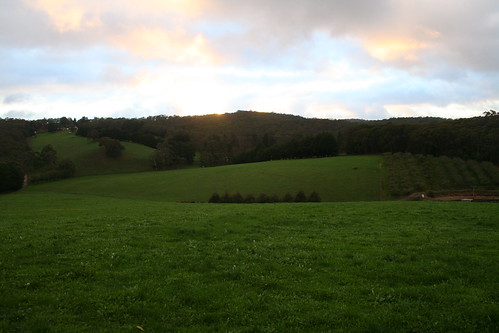 Sunrise at Coat estate