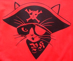 red pirate kitty