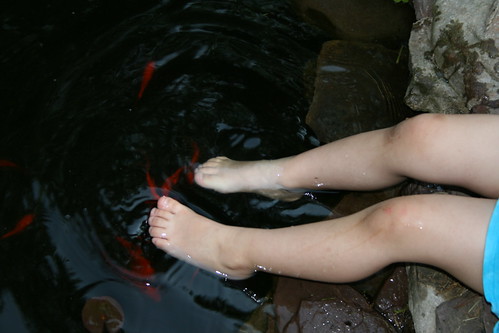 So when the rash of fish pedicure and fish reflexology stories went 