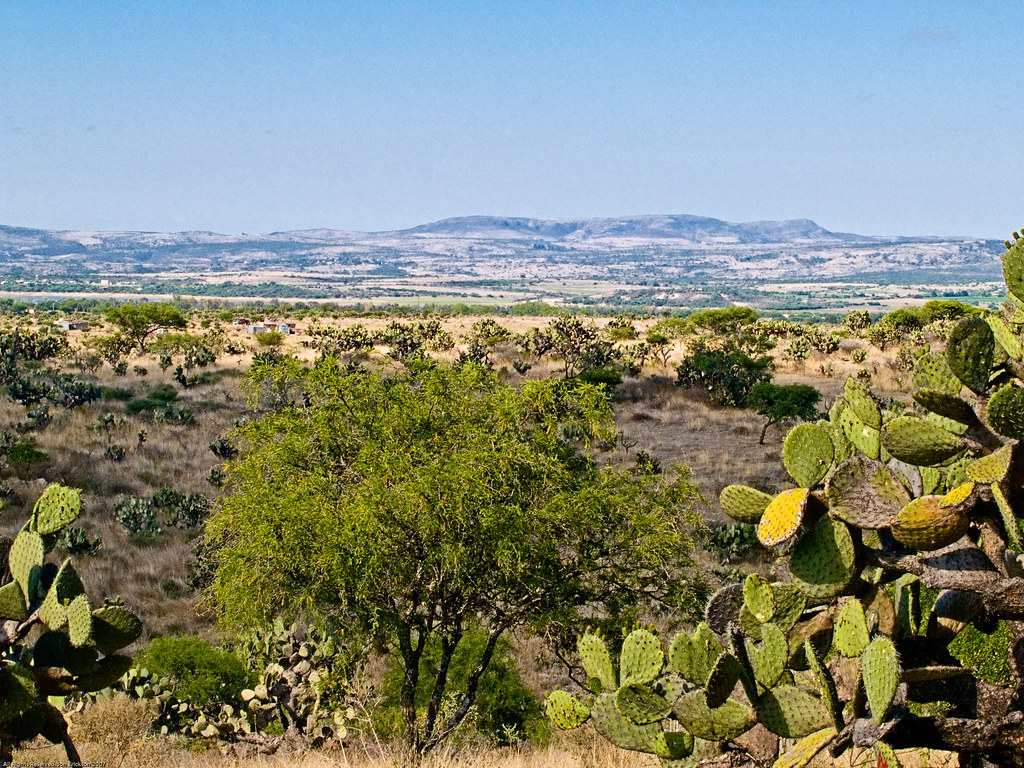 Vista from Los Senderos