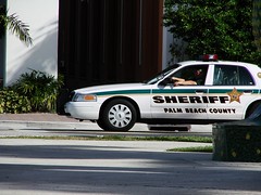 Palm Beach County Sheriff's Office  (7)