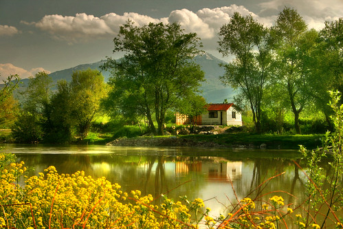 house by the river